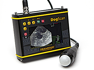 Un ecógrafo portátil y ligero para el diagnóstico de gestación rápido y preciso en los animales pequeños