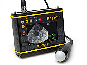 Ecógrafo DogScan