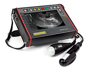 Escáner de ultrasonido para veterinarios de práctica mixta
