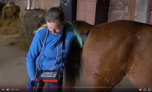 iScan2 – ecógrafo preciso y cómodo para diagnóstico de caballos