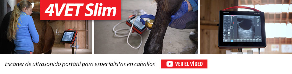 4VET Slim Escáner de ultrasonido portátil para especialistas en caballos.