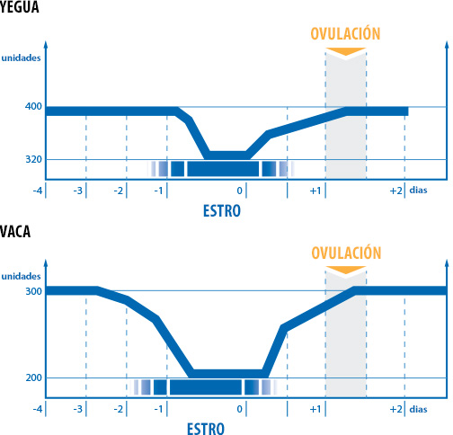 Gráfico de la ovulación de la vaca en días individuales