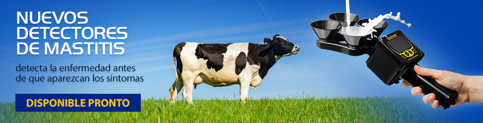 Inflamación de la ubre en una vaca, cabra, oveja. Mastitis subclínica. Mastitis: cómo diagnosticar.